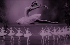Royal Moscow Ballet - Swan Lake